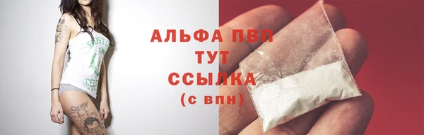 ECSTASY Карпинск