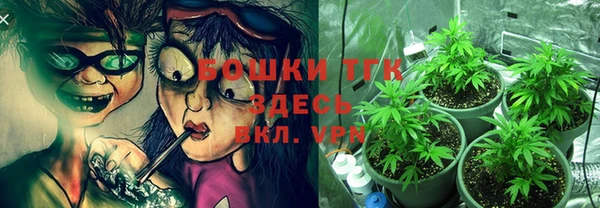 a pvp Каменногорск