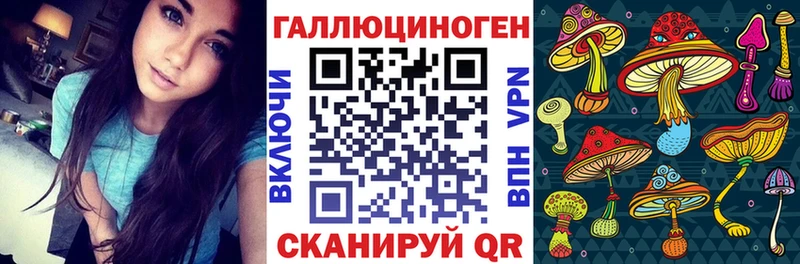 Псилоцибиновые грибы MAGIC MUSHROOMS  Купить  Богородск 